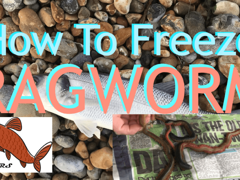 How to Freeze&nbsp;Ragworm