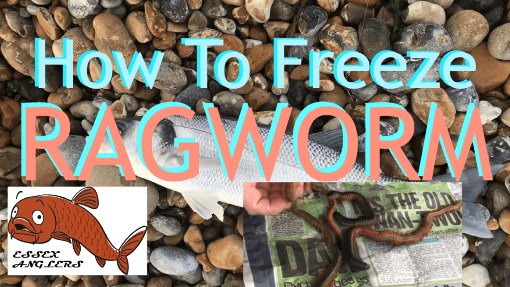 How to Freeze&nbsp;Ragworm