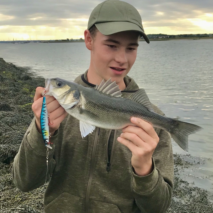 Bass Action on the River&nbsp;Crouch