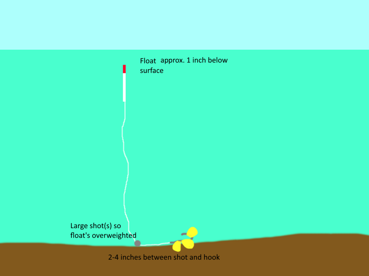 Stalking Carp Using the Lift Float&nbsp;Method.