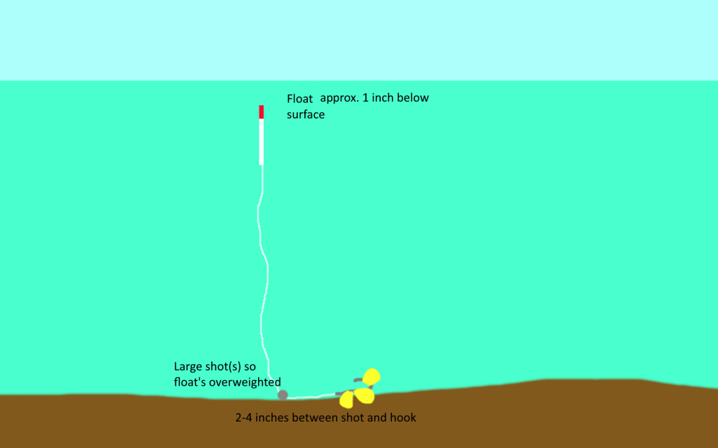 Stalking Carp Using the Lift Float Method.